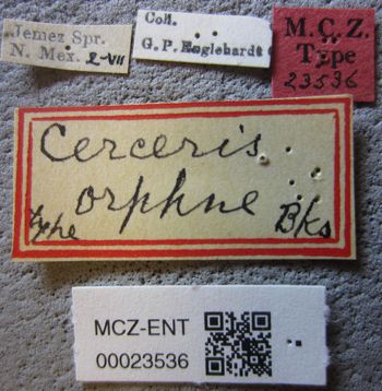 Media type: image;   Entomology 23536 Aspect: labels